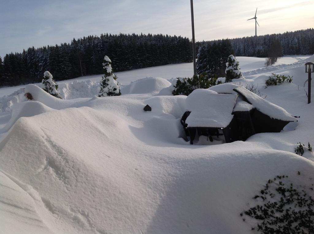 Berghotel Schiller Schonach im Schwarzwald Eksteriør billede